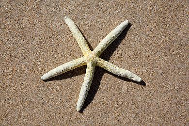 夏日超级特卖登场！《World's End Club》等热门游戏低至3折优惠！